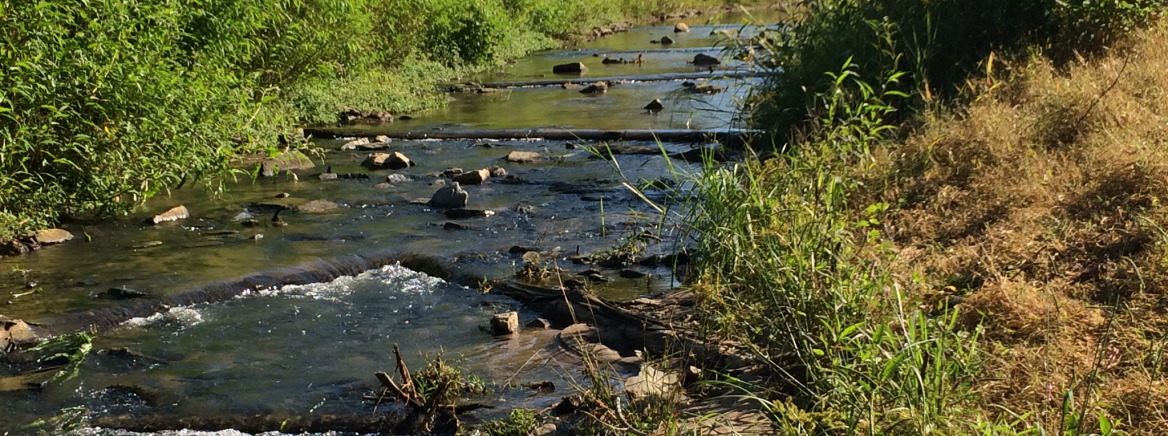 Mallard Creek Storm Water Project Mallard Creek